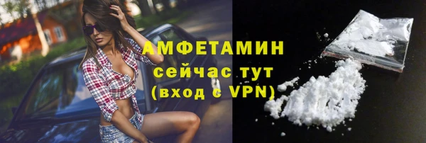 сатива Беломорск