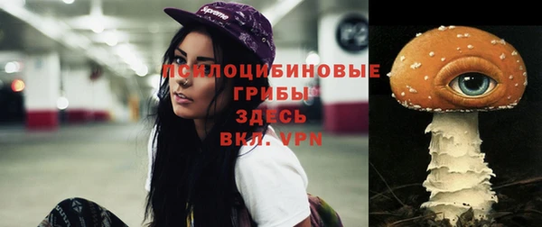 сатива Беломорск