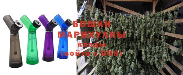 сатива Беломорск