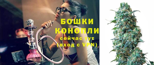 сатива Беломорск