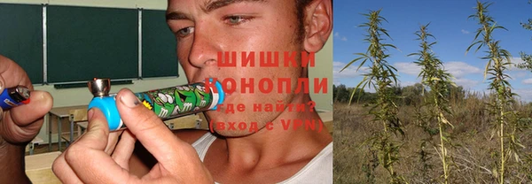 сатива Беломорск