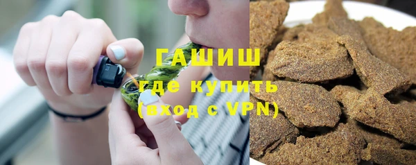 сатива Беломорск